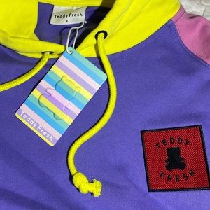 TEDDY FRESH- COLOR BLOCK HOODIE 2.0-L- PASTEL BNWT